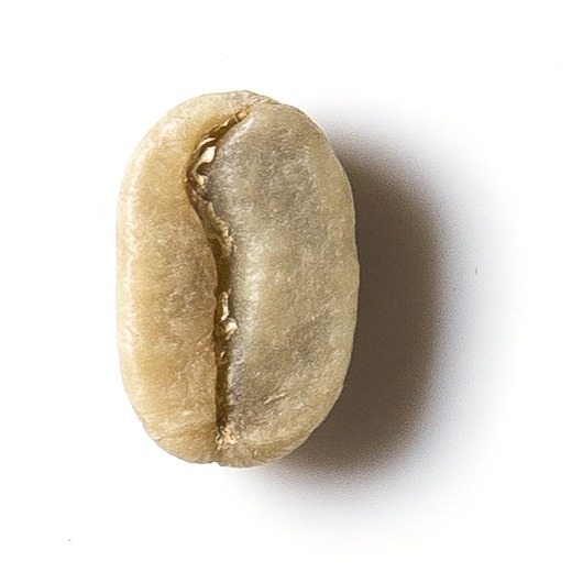 Buy Green Arabica Coffee from Ethiopia Sidamo Wash Grade 2