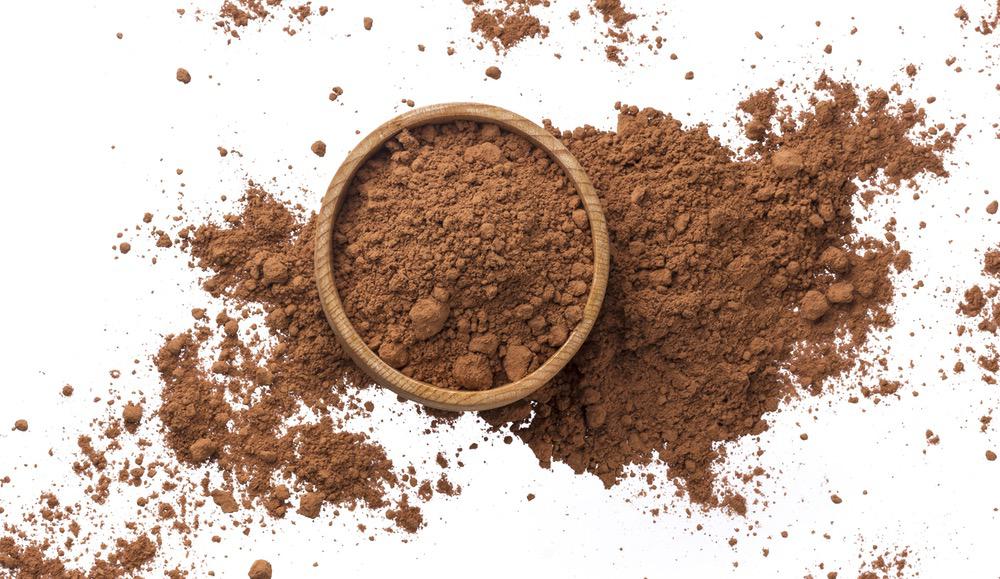 Cocoa powder for dairy applications
