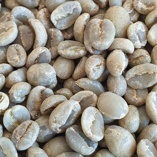 Buy Green Arabica Coffee from Ethiopia Sidamo Wash Grade 2