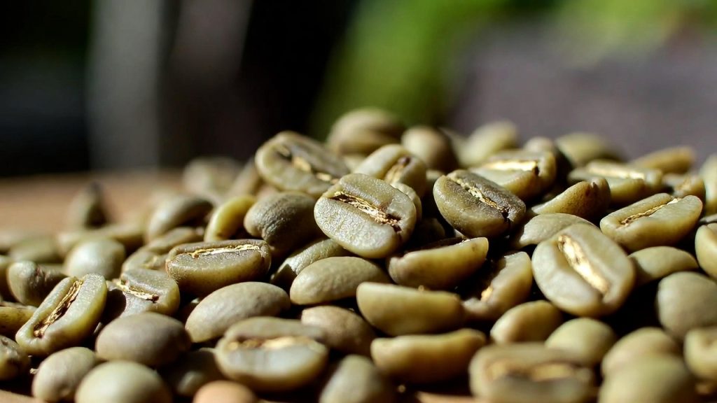Purchasing Green Coffee Beans for a Roastery