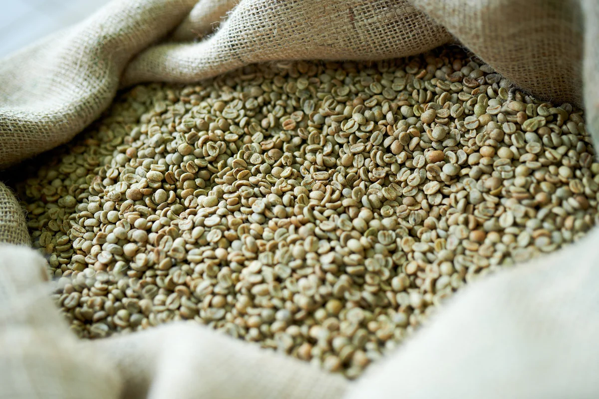 Import of Nicaraguan Arabica green coffee