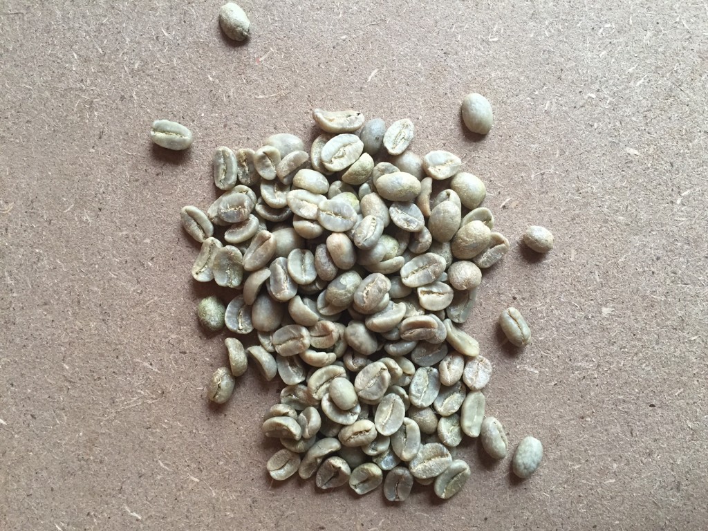 بهترین دانه سبز کلمبیا برای رستری