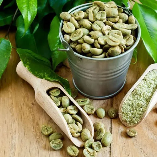 قهوه India Plantation AA
