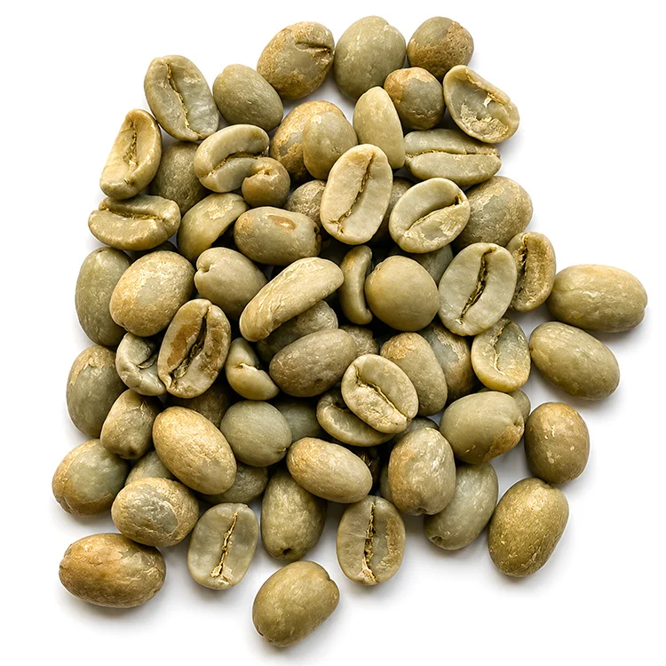 Vietnamese Robusta Green Coffee, Screen 16