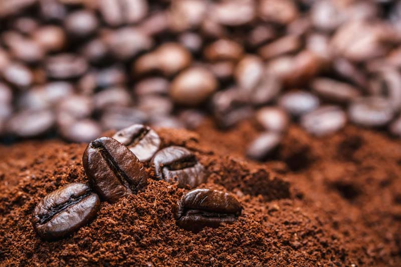 Vietnam Robusta G1