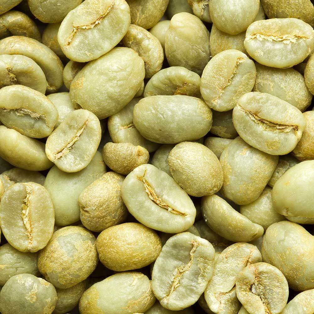Green coffee bean