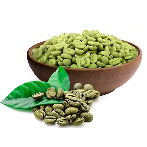 Wholesale Purchase of Green Coffee Beans in the Kish Free Zone for Coffee Suppliers