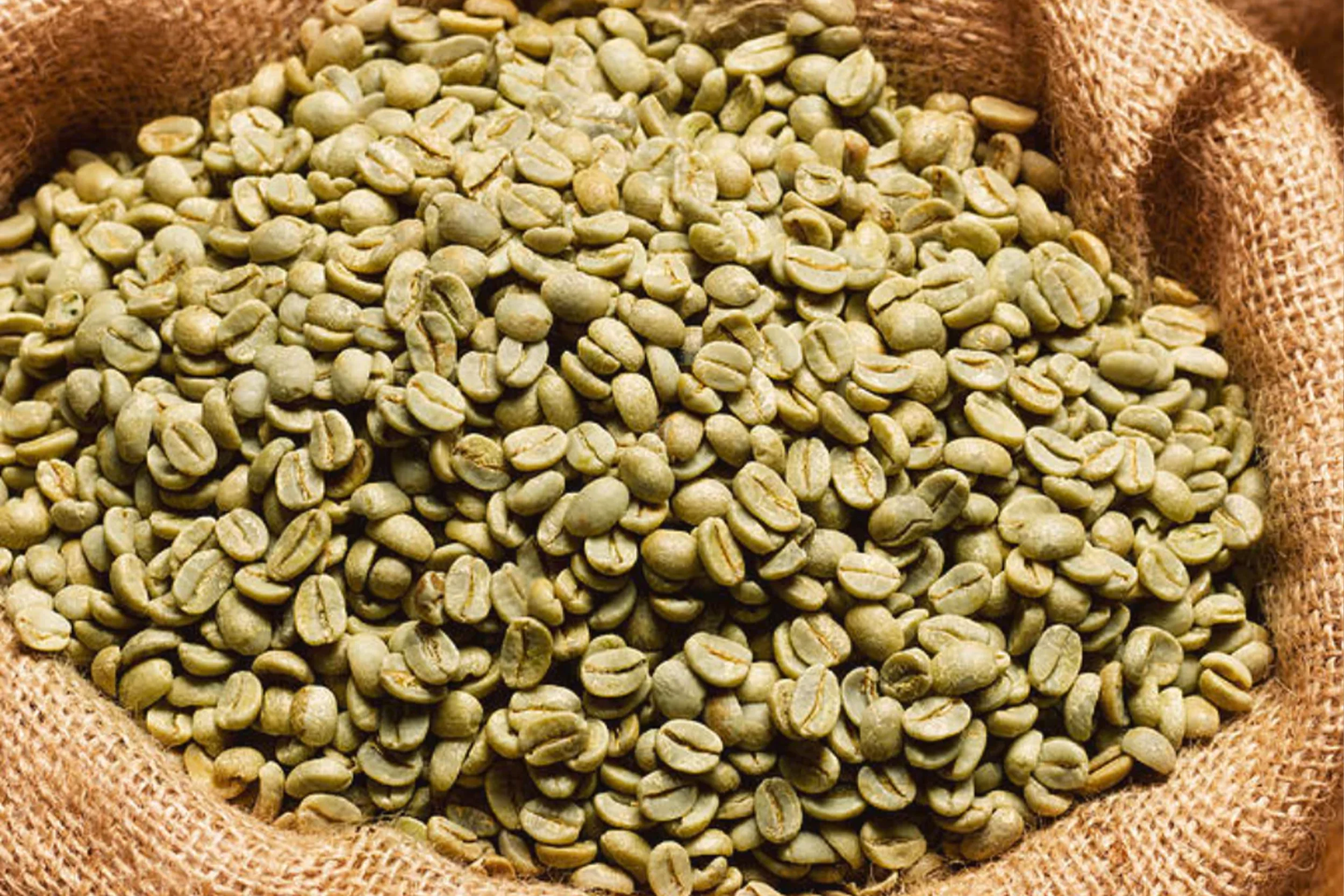 Green coffee bean