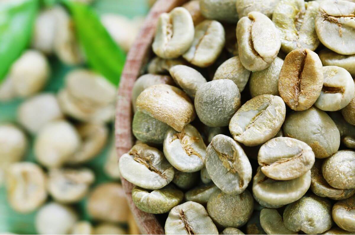 Green coffee bean