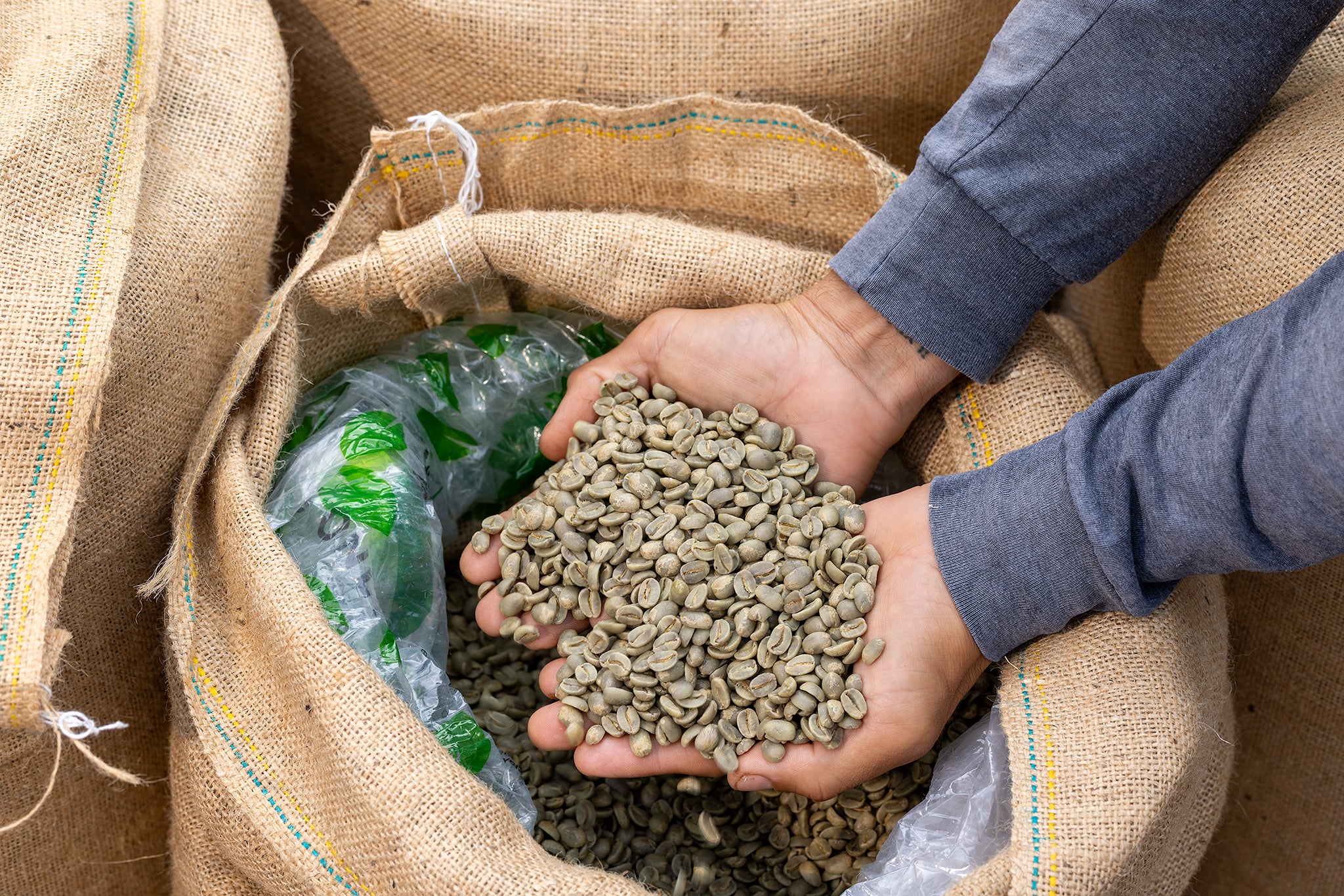 Wholesale supply of imported green coffee at Khorramshahr Port