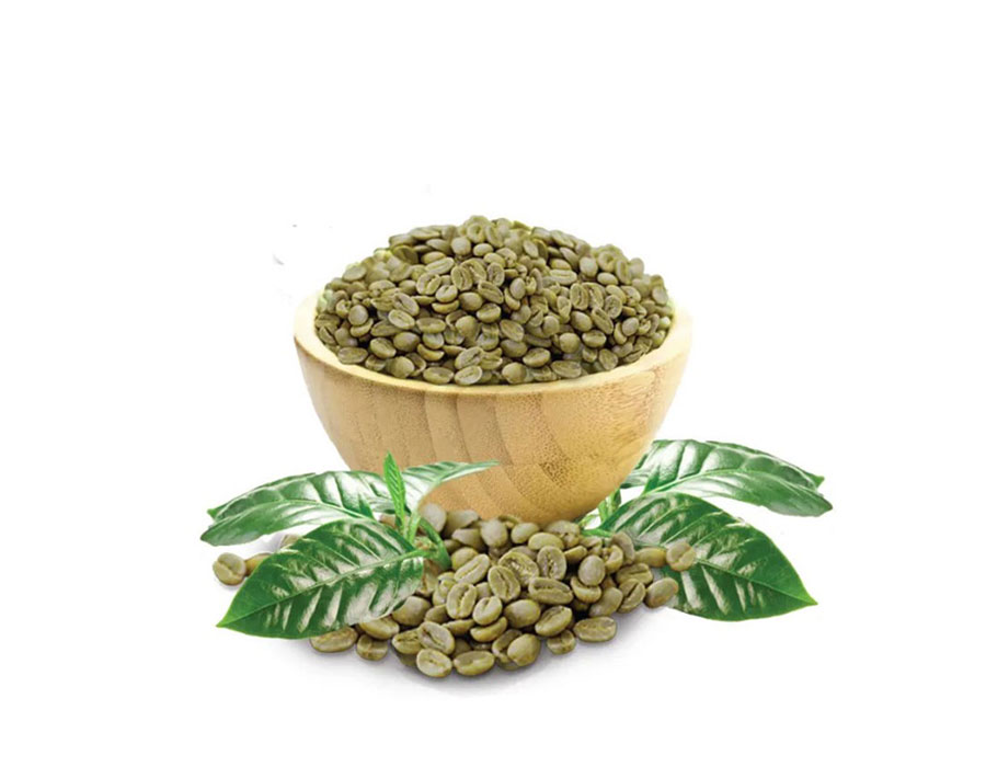 Green coffee bean