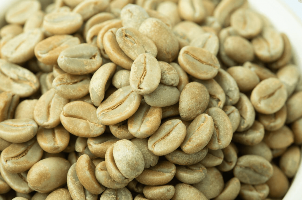 The Best Green Coffee Beans for Roasteries