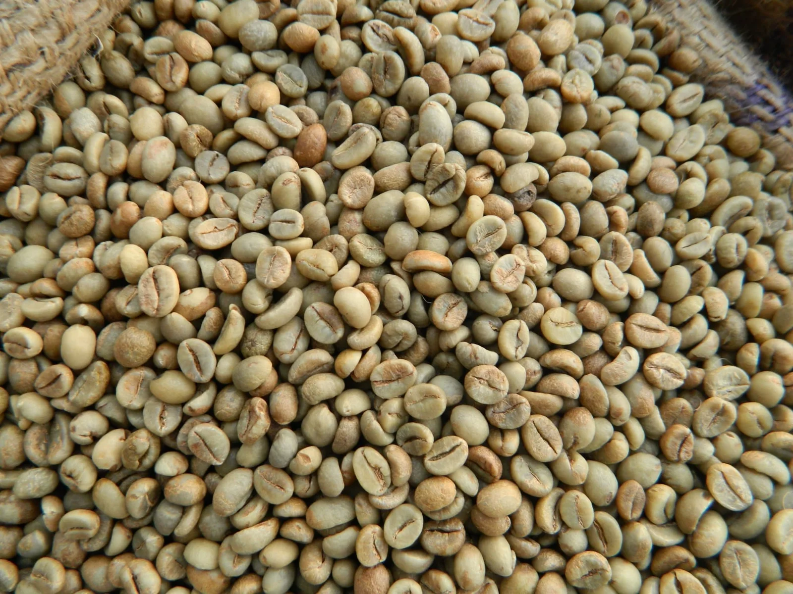 The difference between Screen 17 and Screen 18 coffee