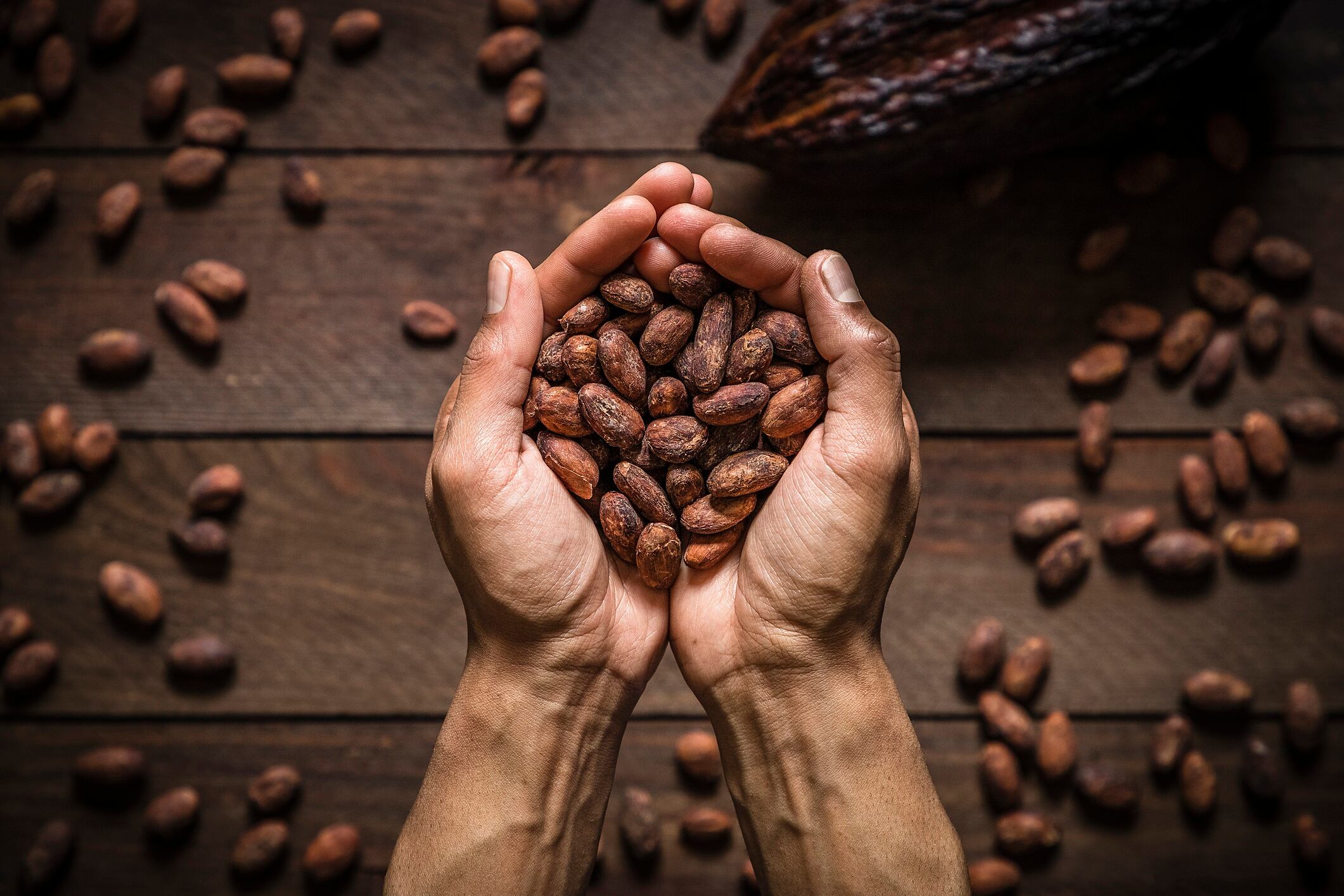 Authentic Cargill Cocoa