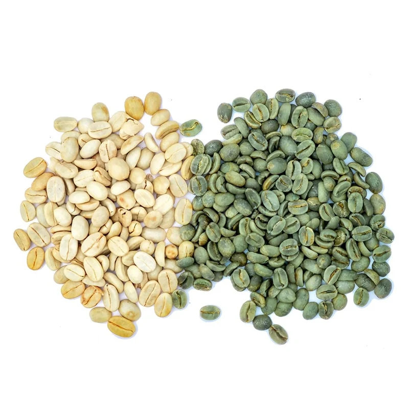 Green coffee bean