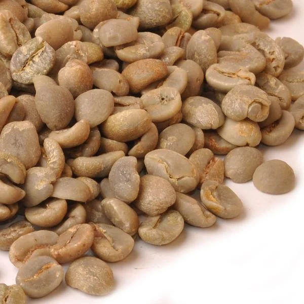 Bulk sale of green coffee beans (by the ton)