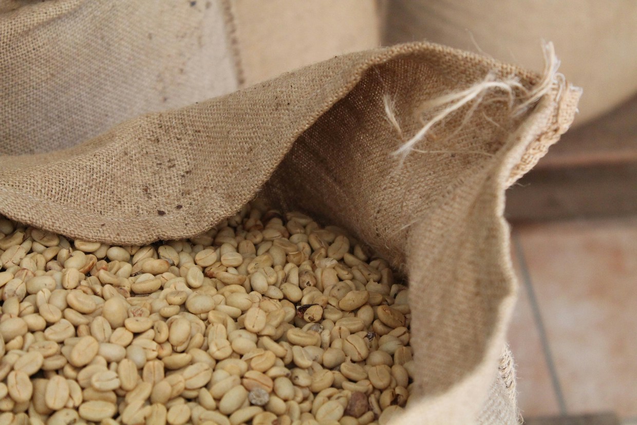 Purchasing green coffee beans in Türkiye for export to Iran, Iraq, and neighboring countries