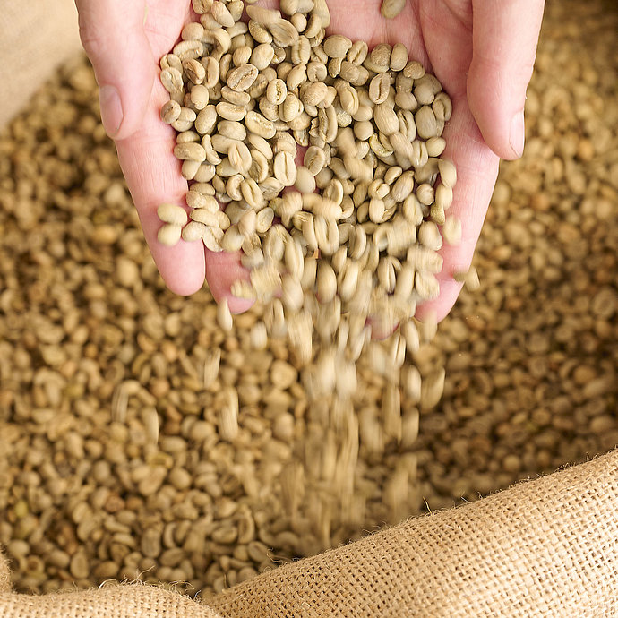 Wholesale supply of imported green coffee at Khorramshahr Port