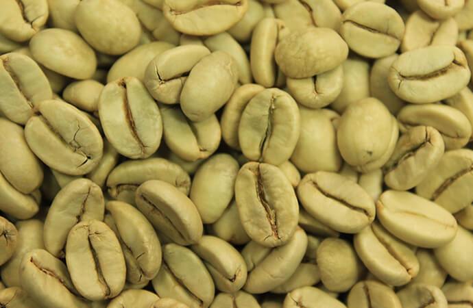 Green coffee bean