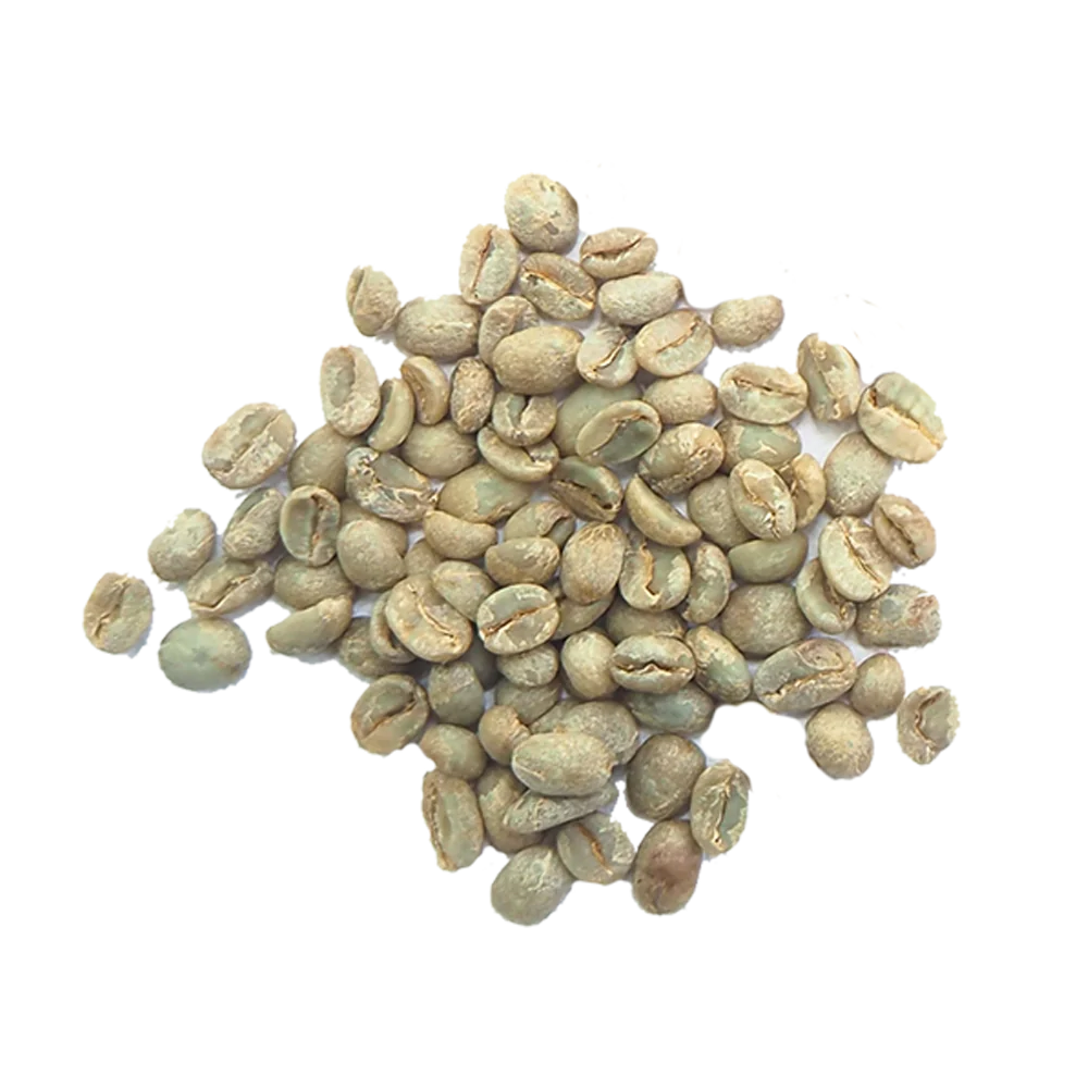 Green coffee bean
