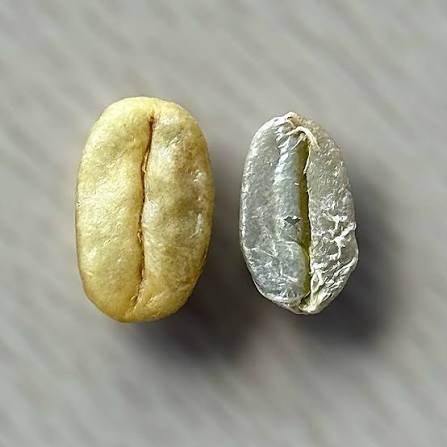 Green coffee bean