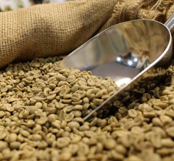Green coffee bean