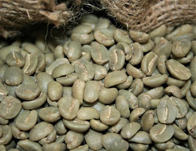Green coffee bean