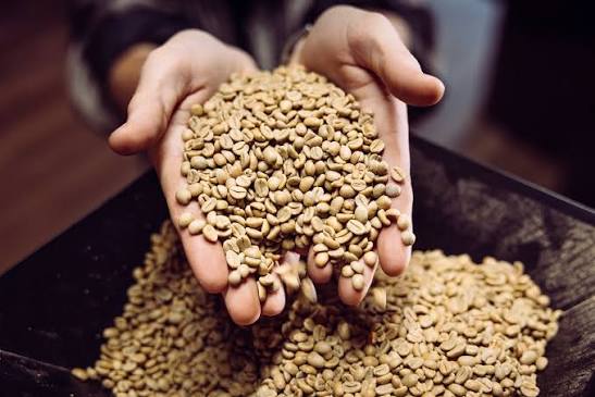 Bulk sale of green coffee beans (by the ton)