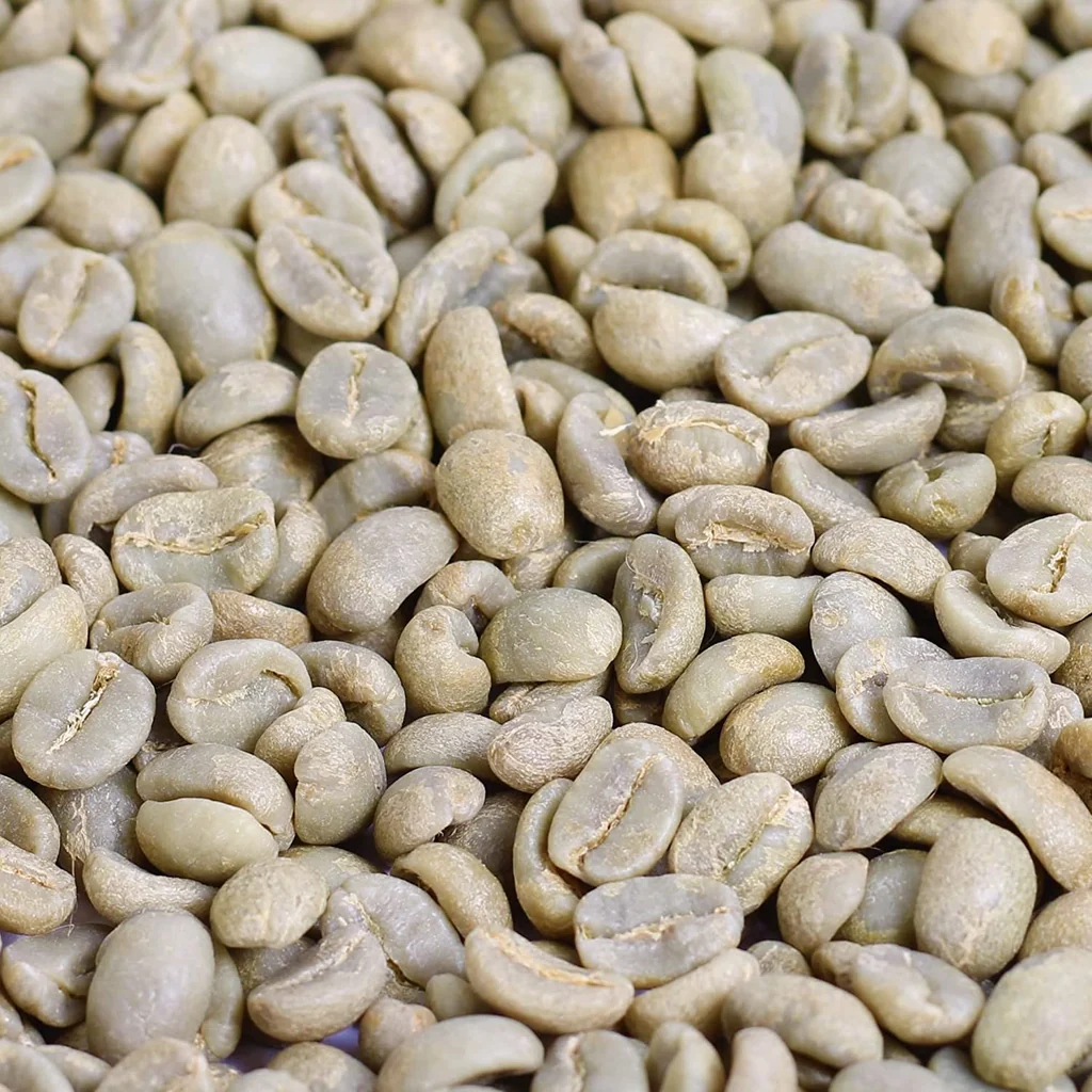Green coffee bean