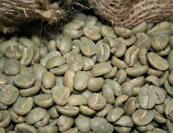 Green coffee bean