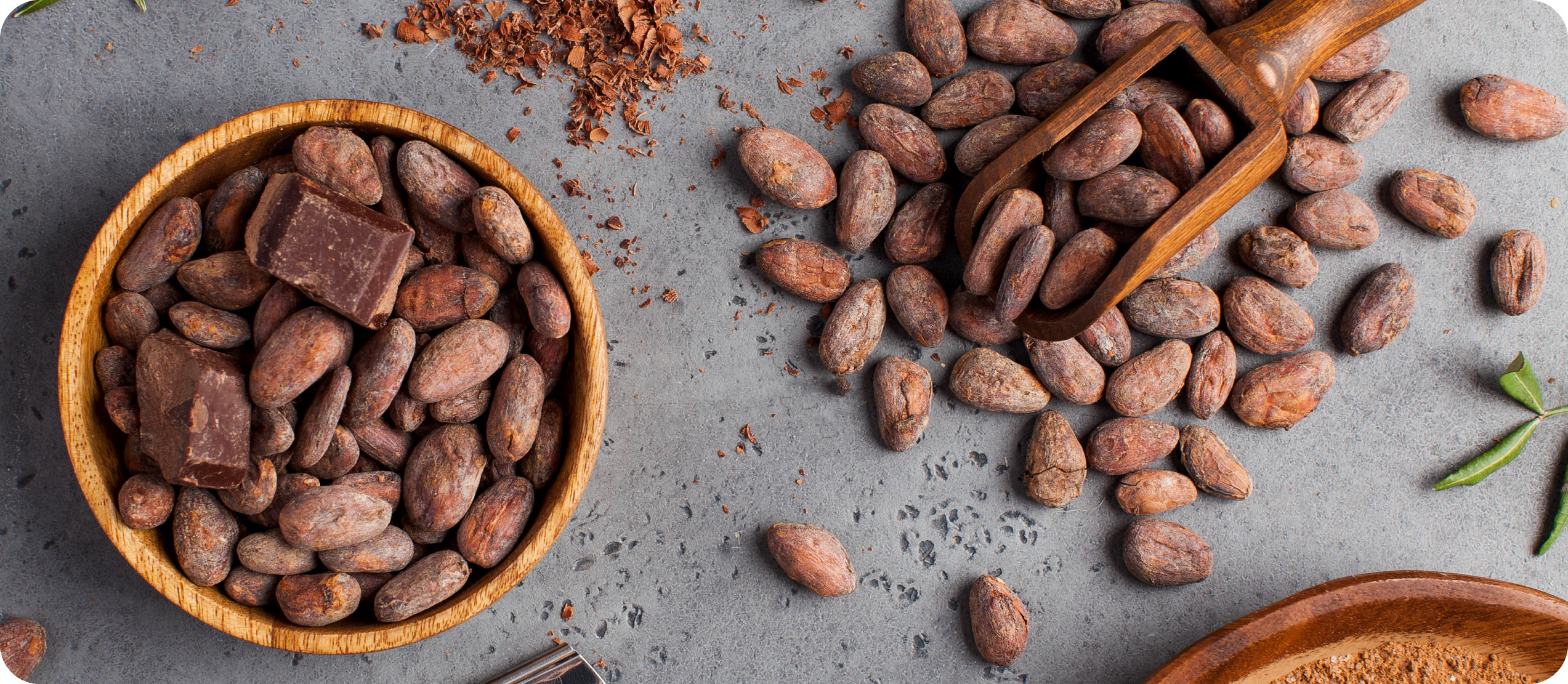 какао порошок витамины и минералы