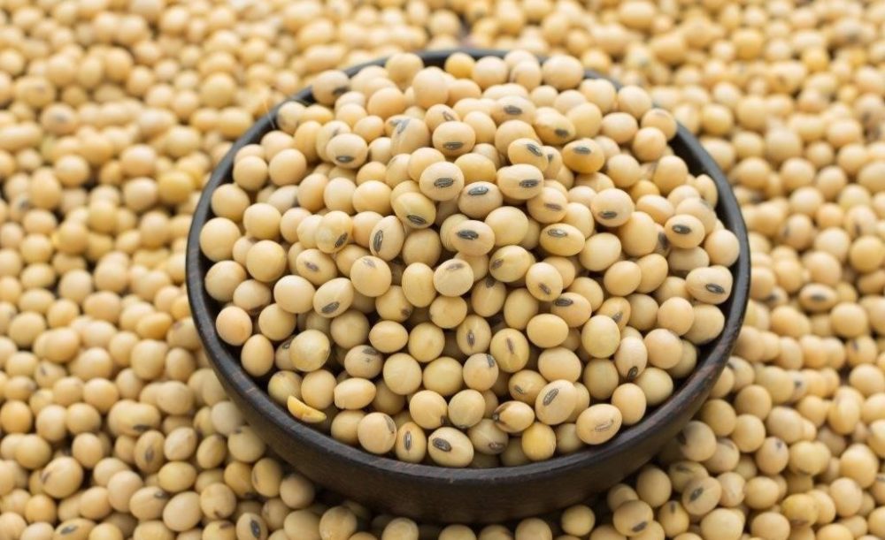 Соевый лецитин