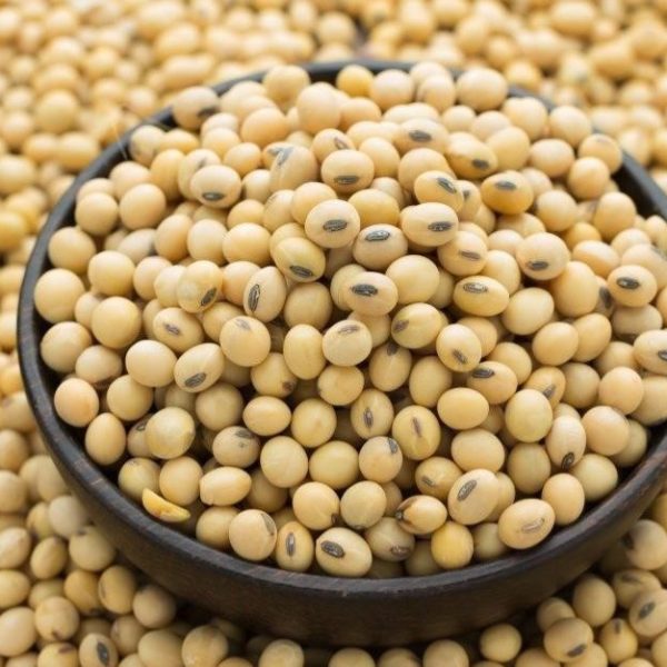 Соевый лецитин