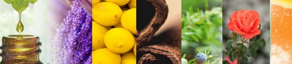 Эфирные масла Жиудан оптом