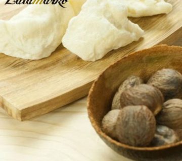 Масло высокого качества для замены какао-масла Масло высокого качества для замены какао-масла