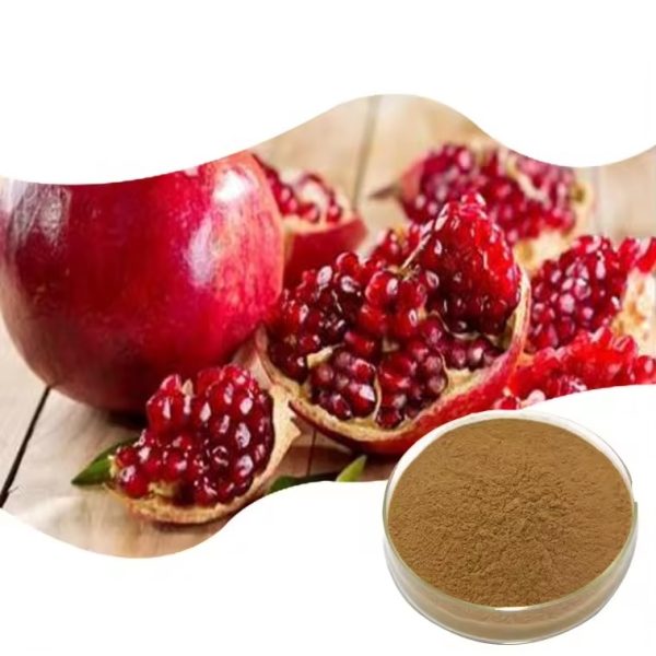 Пуникалагин