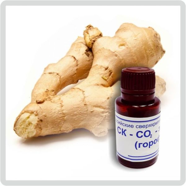 Экстракт имбиря