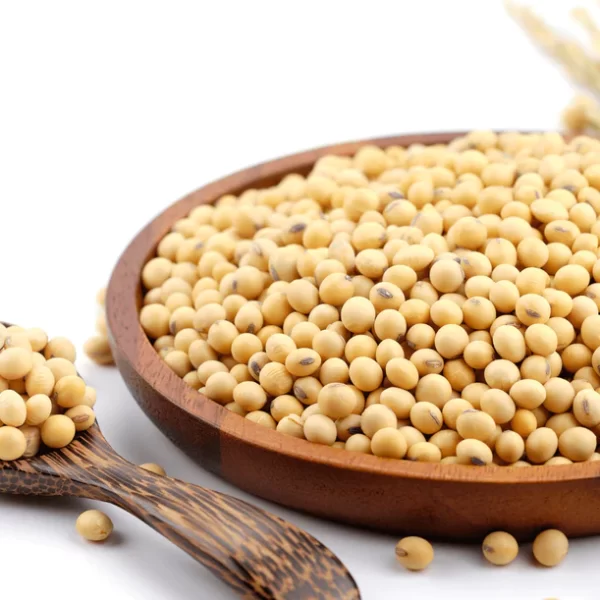 обезжиренная соевая мука