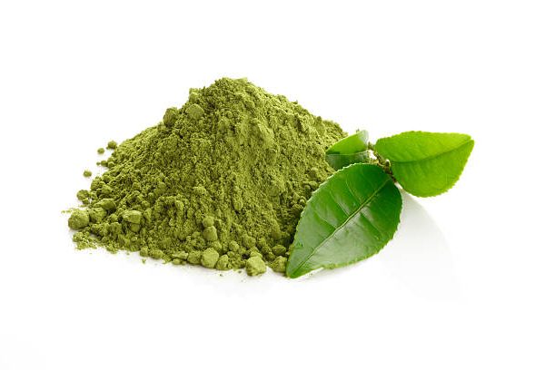 экстракт зеленого чая