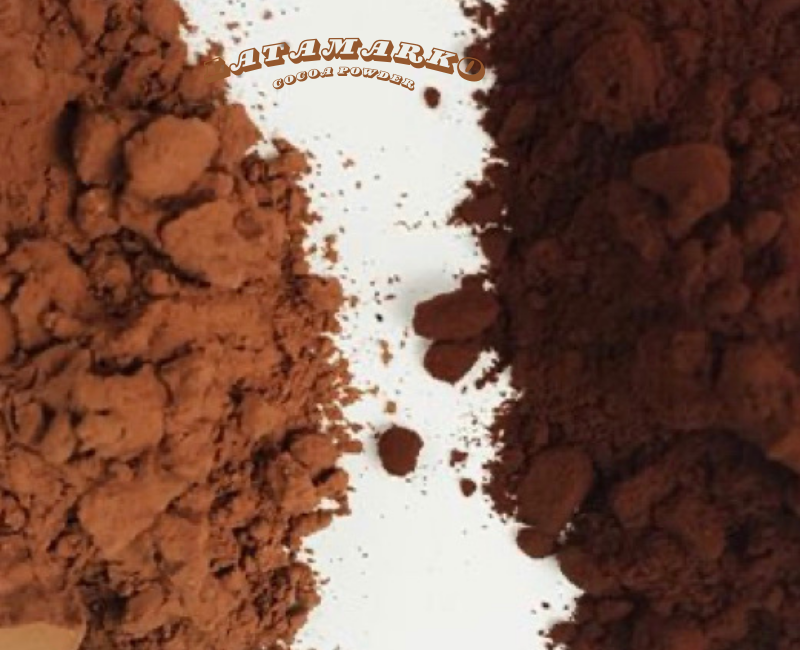 Закупка какао-бобов оптом