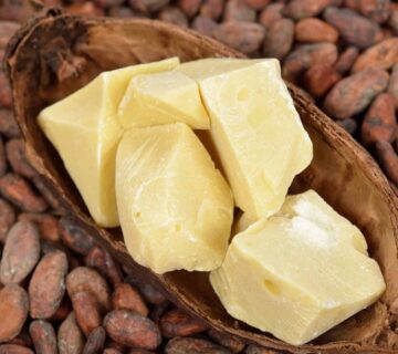 поставщик масла заменитель какао масла в Алматы