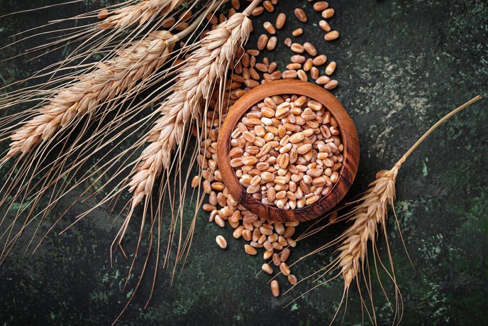 Импортер пшеничного зерна