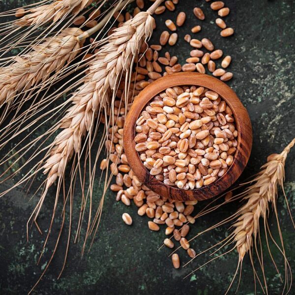 Импортер пшеничного зерна