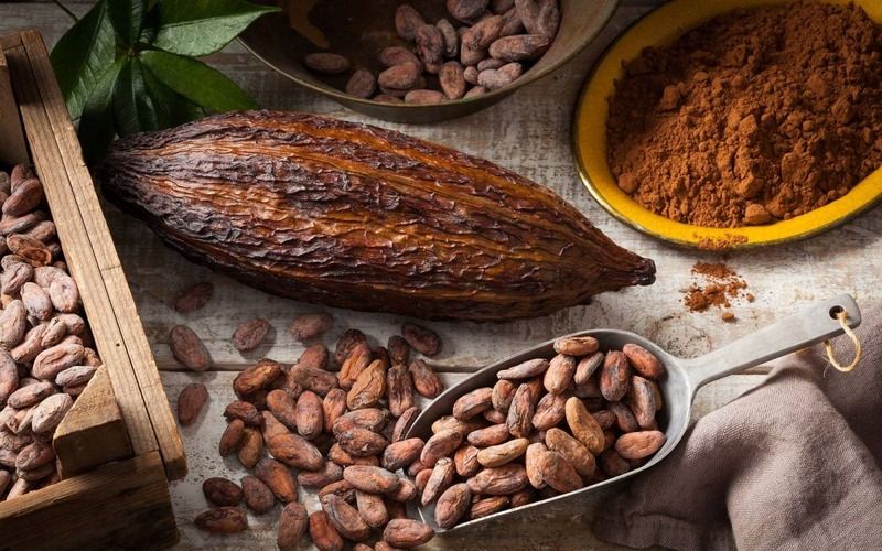 Поставки какао-порошка в Россию напрямую с завода