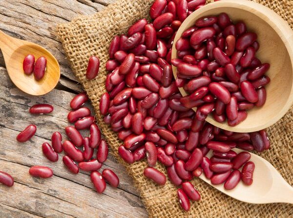 Купите фасоль оптом от поставщика MT Royal — качественная фасоль для пищевой промышленности и производства. Надежные поставки и выгодные цены.