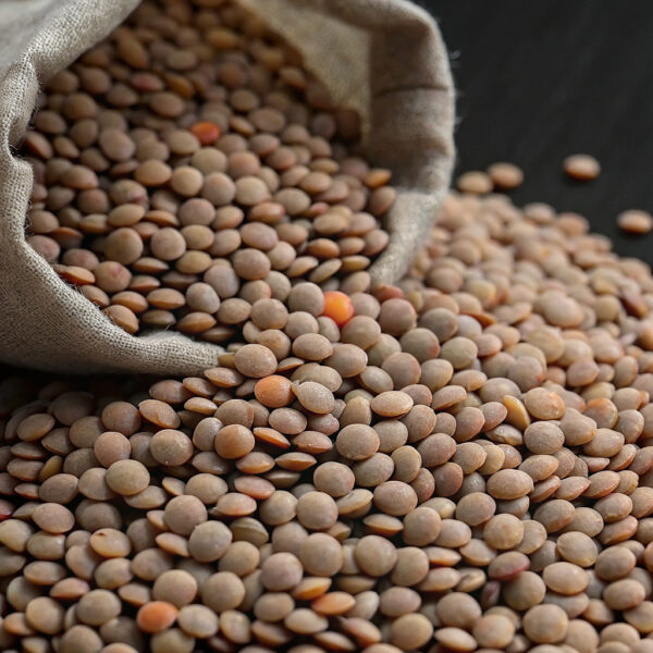 Чечевица — прямые поставки