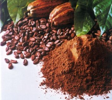 какао порошок Latamarko оптом из Турции в Узбекистан