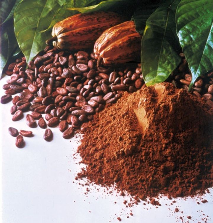 какао порошок Latamarko оптом из Турции в Узбекистан