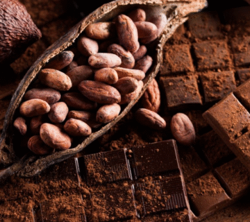 какао порошок для производства шоколада Узбекистан