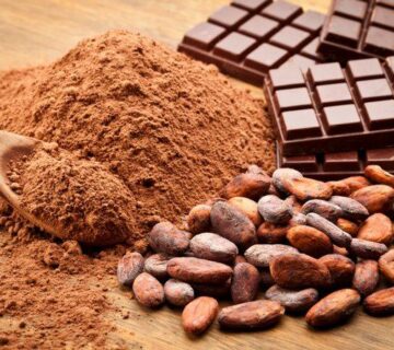 купить какао порошок Cargill для производства шоколада